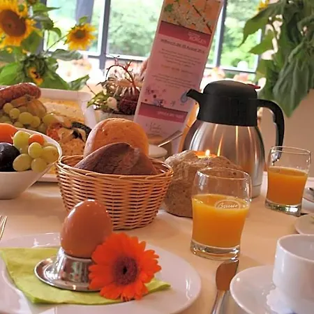 Aktiv Saechsische Schweiz 3*