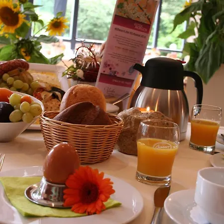فندق Aktiv Saechsische Schweiz بيرنا