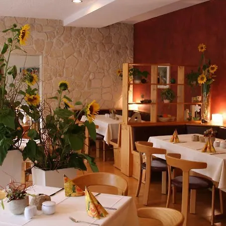 Aktiv Saechsische Schweiz Hotel Pirna